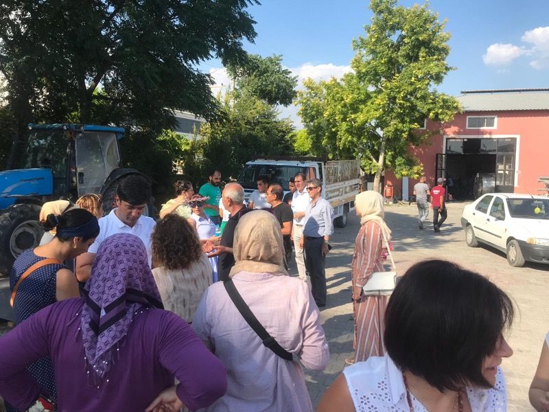 Kadının Güçlendirilmesi Yoluyla Sosyal Hizmetlerin Desteklenmesi Projesi