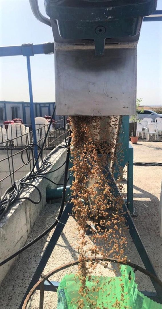 Ebrulim Çekirdeksiz Prina Üretimi Makinalarının Açılış Programına Katılım Sağlandı