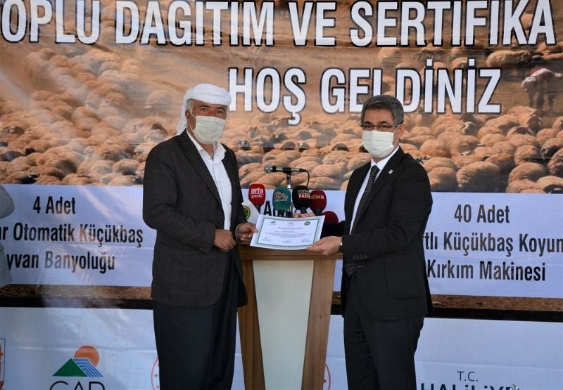 Şanlıurfa’da Küçükbaş Hayvancılığı Geliştirme Projeleri Toplu Dağıtım ve Sertifika Töreni düzenlendi