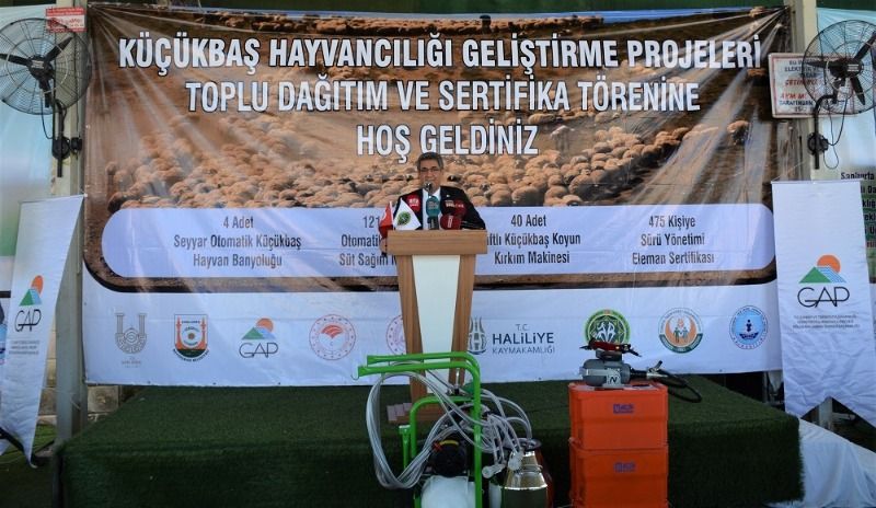 Şanlıurfa’da Küçükbaş Hayvancılığı Geliştirme Projeleri Toplu Dağıtım ve Sertifika Töreni düzenlendi