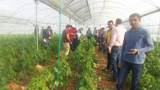 GAP Bölgesi Yayım Elemanlarına "Entegre Biyolojik Mücadele" Eğitimi Verildi