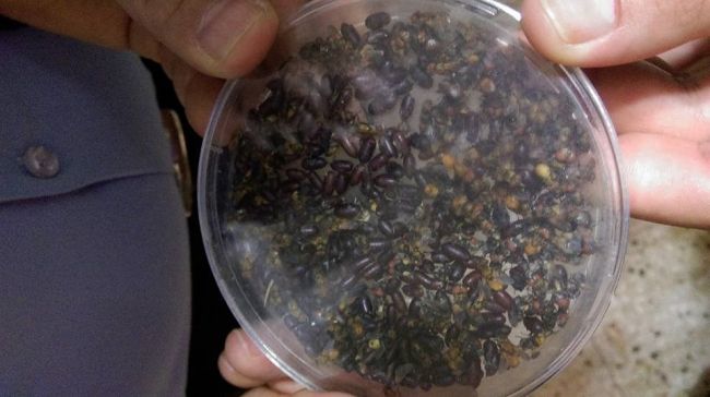 GAP Bölgesi Yayım Elemanlarına "Entegre Biyolojik Mücadele" Eğitimi Verildi