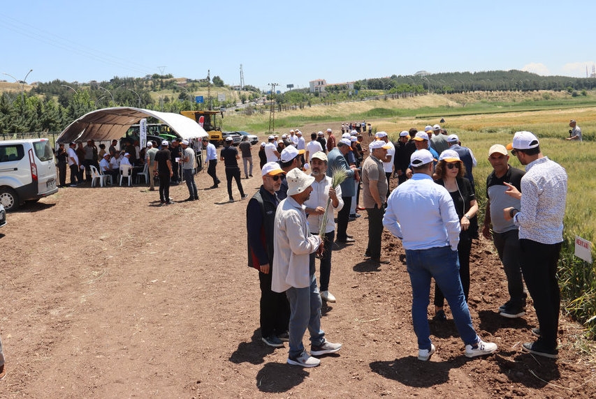 Tarla Günü Etkinliğinde GAP HASSAS Uygulaması Tanıtıldı