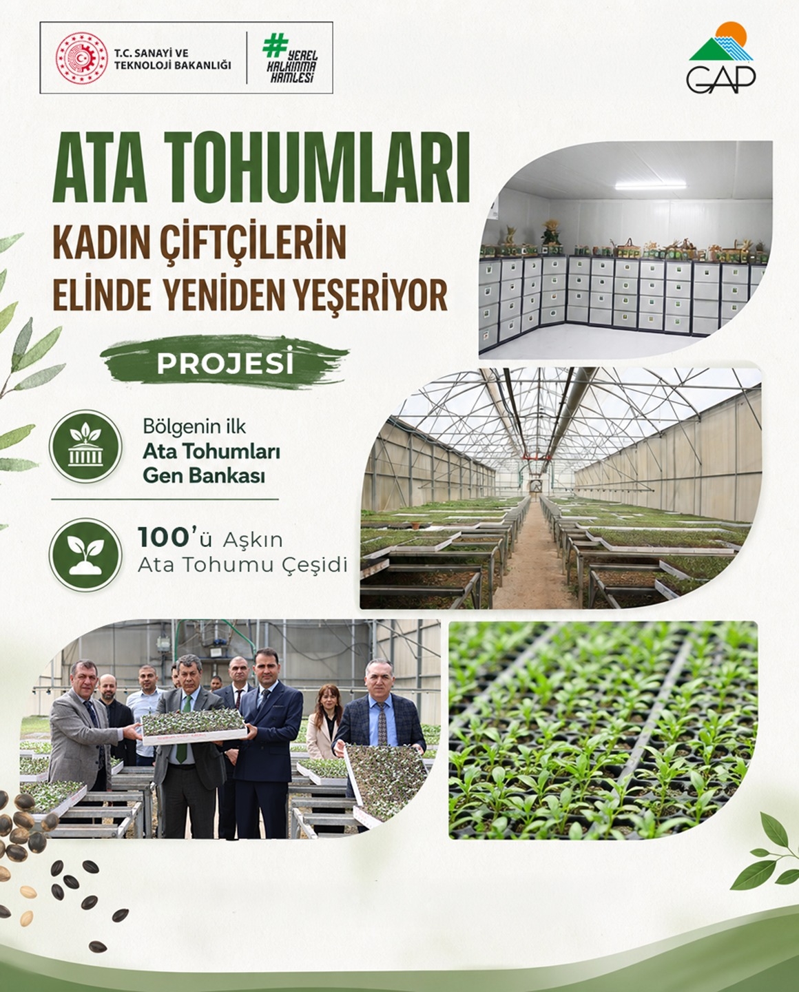 GAP Bölgesi'nin Ata Tohumları Geleceğe Taşınıyor
