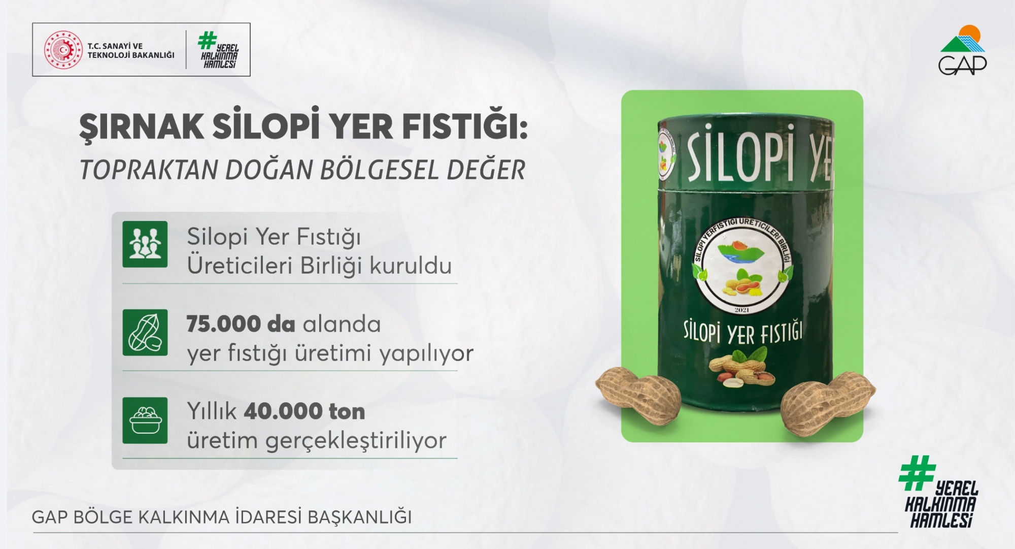 Şırnak Silopi Yer Fıstığı Markalaşma Yolunda İlerliyor