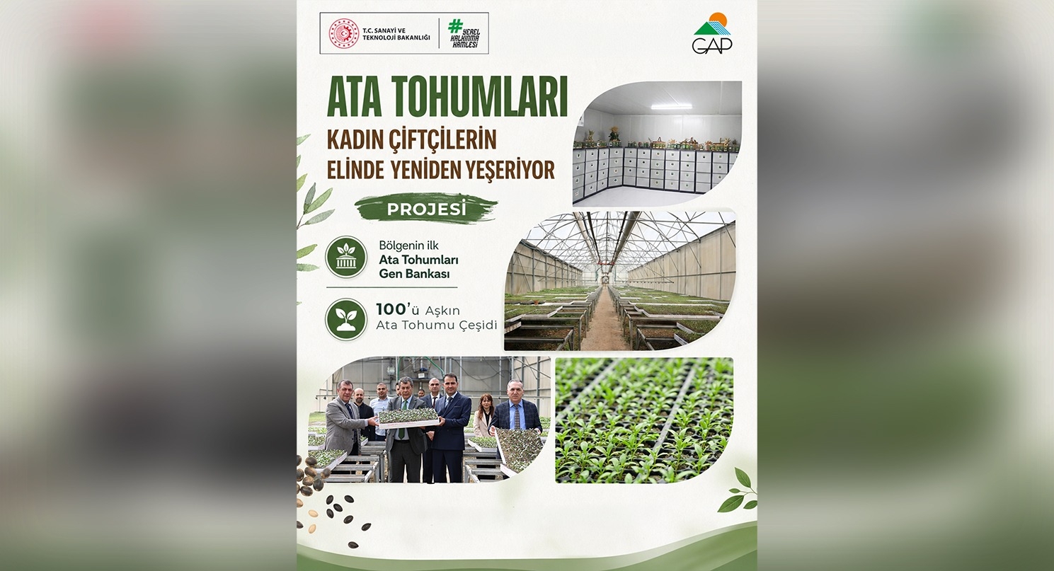 GAP Bölgesi'nin Ata Tohumları Geleceğe Taşınıyor