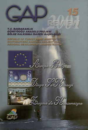 GAP Review 2001