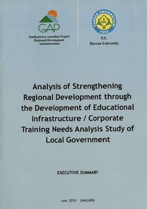 Executive Summary