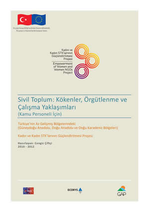 Sivil Toplum: Kökenler, Örgütlenme ve Çalışma Yaklaşımları (Kamu Personeli İçin)