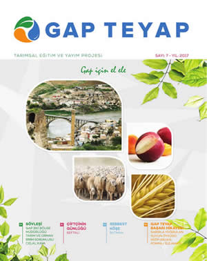 GAP TEYAP Dergisi Mart 2017