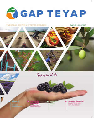 GAP TEYAP Dergisi Aralık 2017