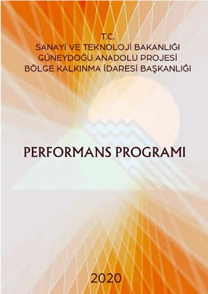 2020 Performans Programı