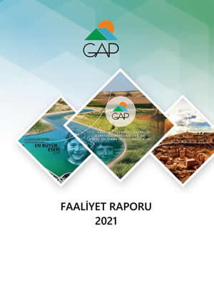 2021 Yılı Faaliyet Raporu